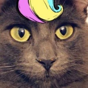 Meet your Posher, Roy